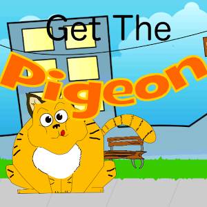 get te pigeon